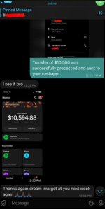cashapp with chat screenshot.jpg